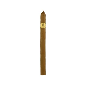 Trinidad Fundadores